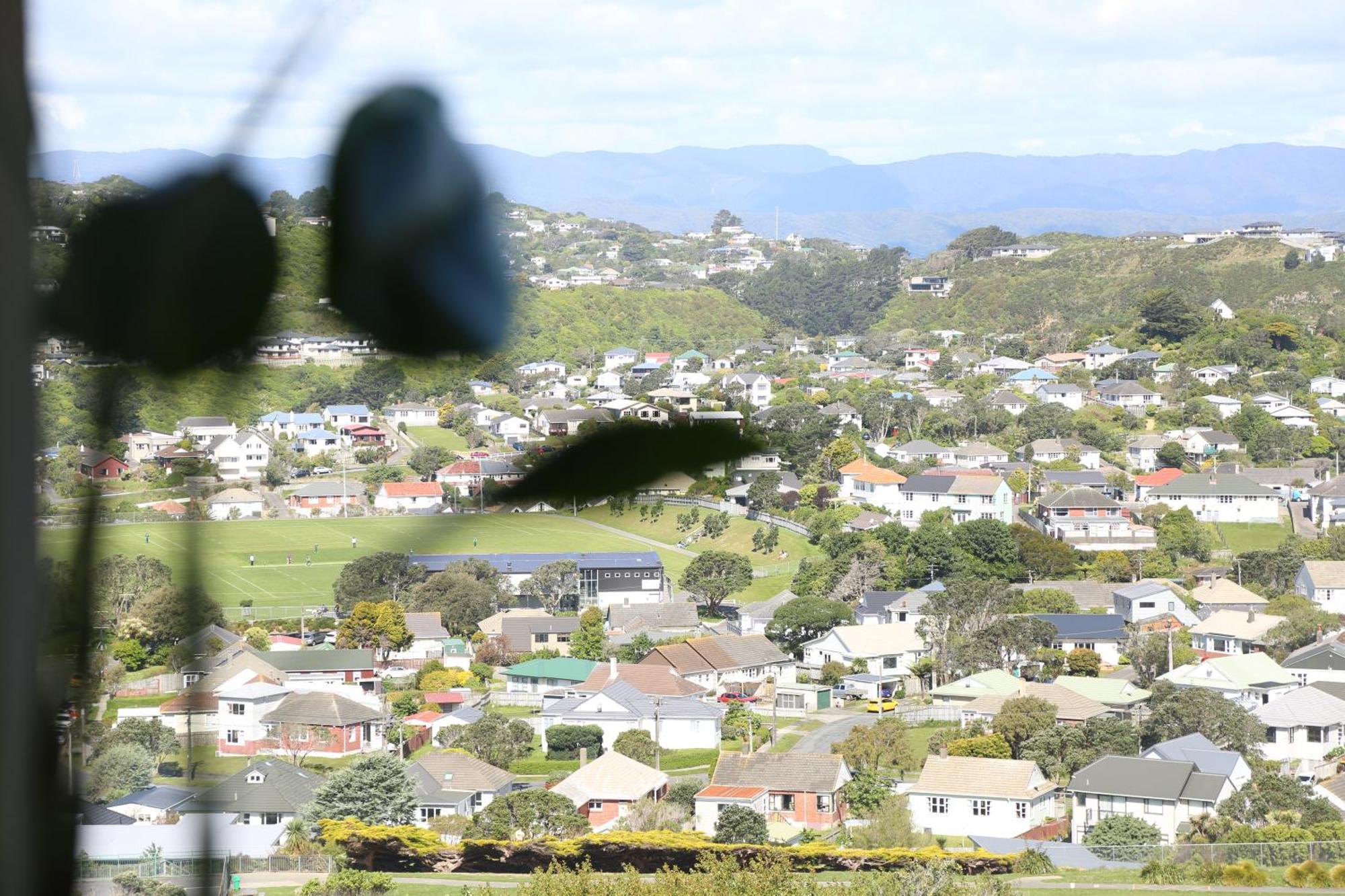 Skyline Vista - Entirely New House With Luxe Views, Espresso, Netflix & Free Parking Villa Wellington Exterior foto